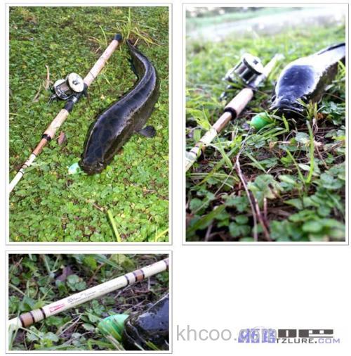 Abu Slow Times 新款雷强竿_2