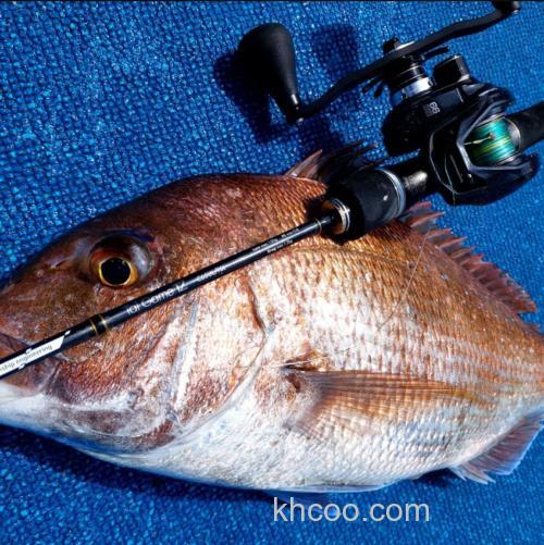 轻量紧凑 Tailwalk 2023 Tai Game 鲷鱼用水滴轮_2