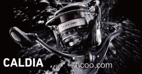 2014 中级泛用 DAIWA CALDIA 纺车轮_0