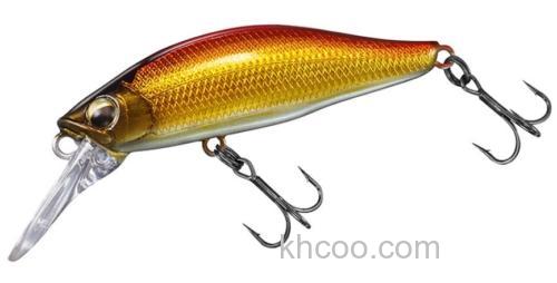 更深层探索 DAIWA SILVER CREEK DIVING CUSTOM 50FS_1