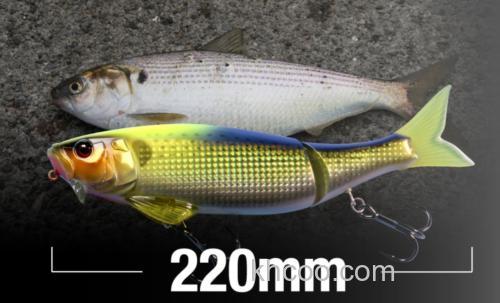 咸水大诱惑 Jackall DOWZONE_1