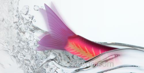 咸水大诱惑 Jackall DOWZONE_3