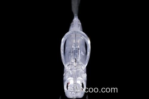 低水温应对 OSP Picro 68 SSS_1