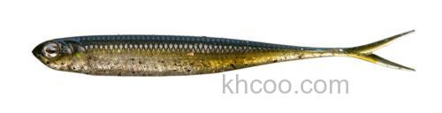 Fisharrow Flash-J SPLIT ABALONE 3″/4″_1