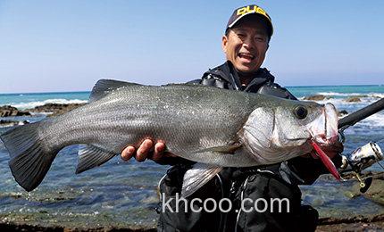 用法简单 DUEL HARDCORE 重击 85ｍｍ/105ｍｍ 咸水远投铅笔_4