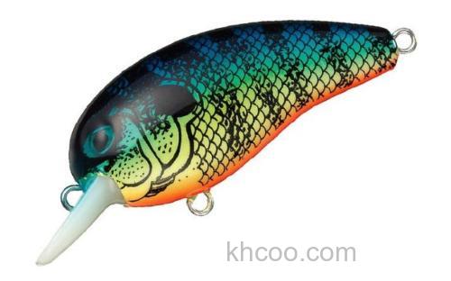 DAIWA发布经典饵型的40周年纪念版本PEANUT_2