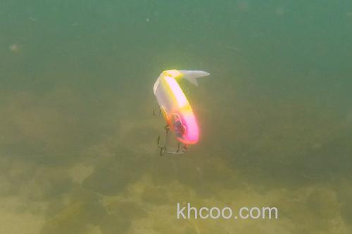 大饵大诱惑 Jackall BLAST BONE SF_5