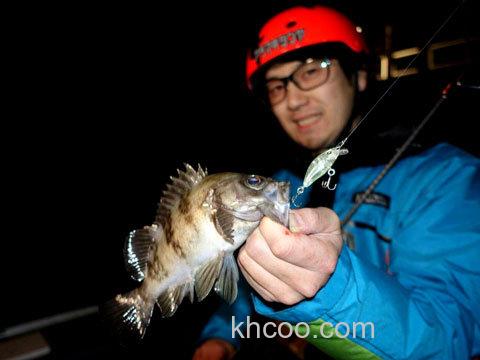 根系专属小玩物 Megabass BEAGLE_0