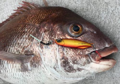 限量款式 DUO DRAG METAL MADAI 鲷钓铁板_0