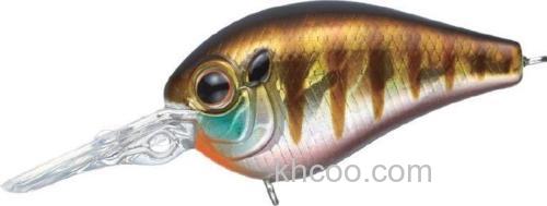 高基准 Evergreen Piccolo 实用性小胖_1