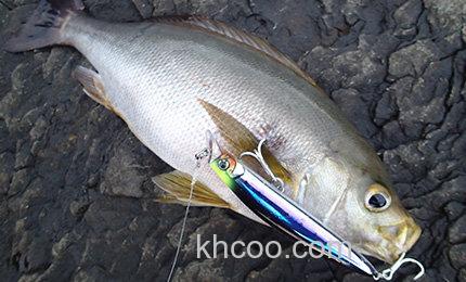 飞距离&稳定兼顾 DUEL HARDCORE MID DIVER 95/115_0