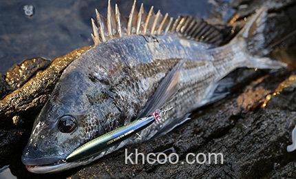 飞距离&稳定兼顾 DUEL HARDCORE MID DIVER 95/115_5