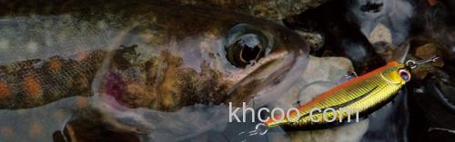 鳟钓轻快操作 Palms stroud_1