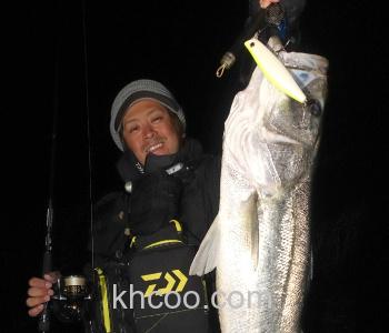 海鲈青物专攻 DAIWA MORETHAN GALVA STRONG_2