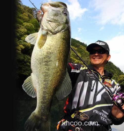 绝对疯狂！Imakatsu JAVAGiLL INLINE_3