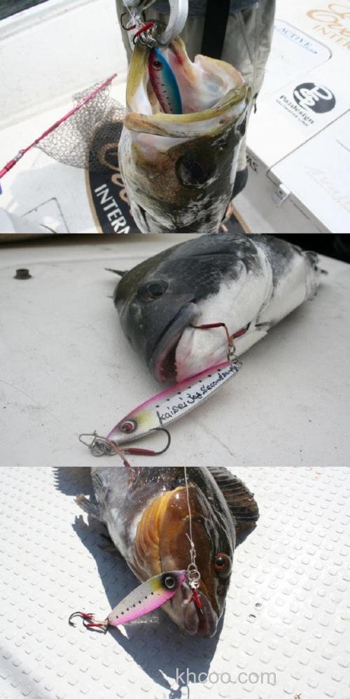 超简单操控 Pazdesign Kaisey海晴 岸抛铁板_2