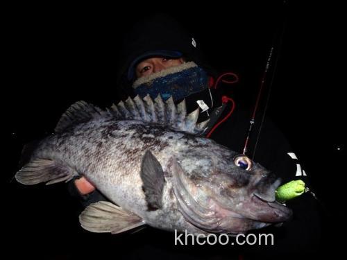 I字系诱惑 Blueblue Razamin 90_1