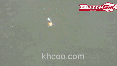 波动鱼 TIEMCO BUTTI GILL_2