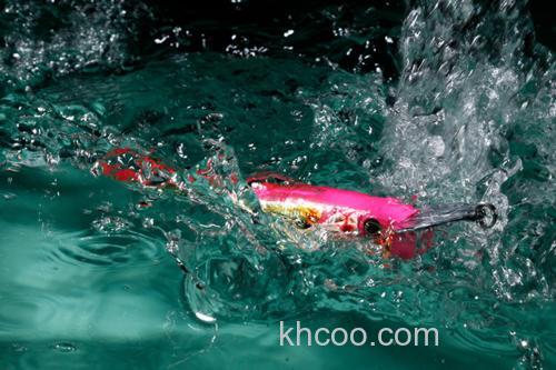 大青物应对 Jackall RISER BAIT 015P_2