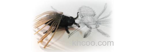 仿生诱惑 BaitBreath BJ-BUG_2