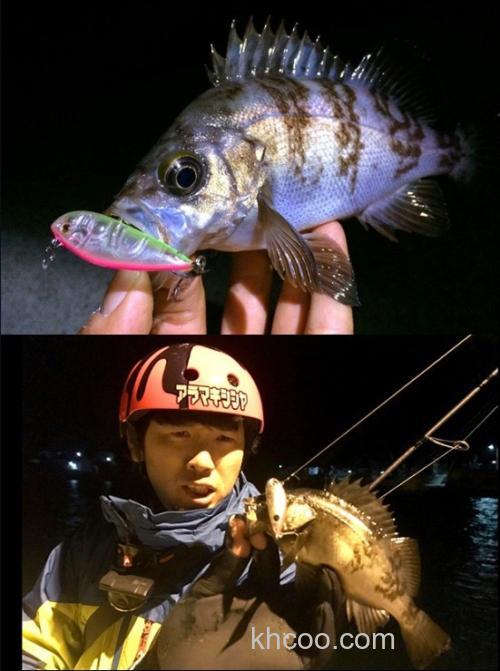 小搞有效18 Nada HUSKY_2