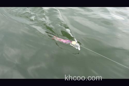 飞-升-诱鱼 Jackall RISERBAIT 008_3