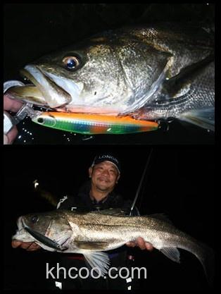 大鲈目标 LONGIN HI-STANDARD 150_2