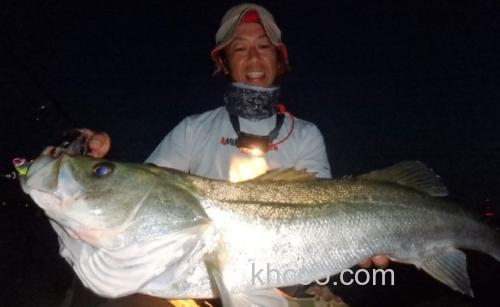 村岡昌憲监修 APIA bit-V26&V12 金属VIB_5