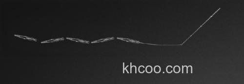 清水攻略Livetarget EMERALD SHINER Jerkbait_1