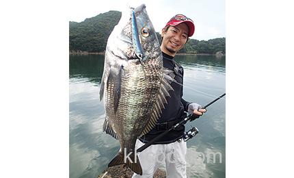 声音冲击波 DUEL 3D INSHORE® PENCIL (F) 水面铅笔_2