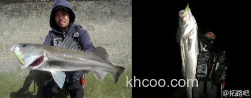 浅场鲈攻 MEGABASS X-80SW Shallow_1