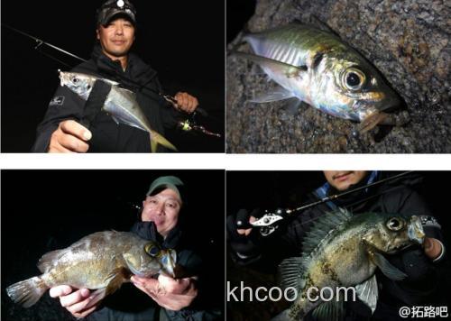 岩鱼特种武器 Evergreen V-fry_3