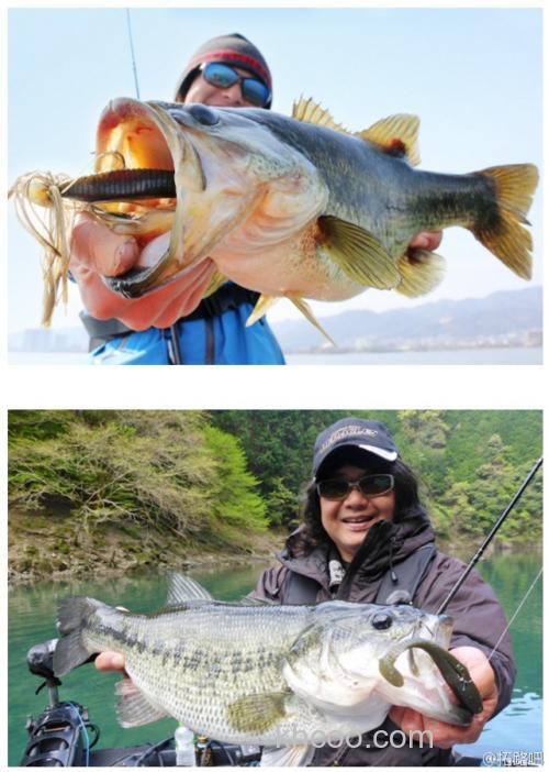 诱惑波动 Evergreen HeadShaker_3