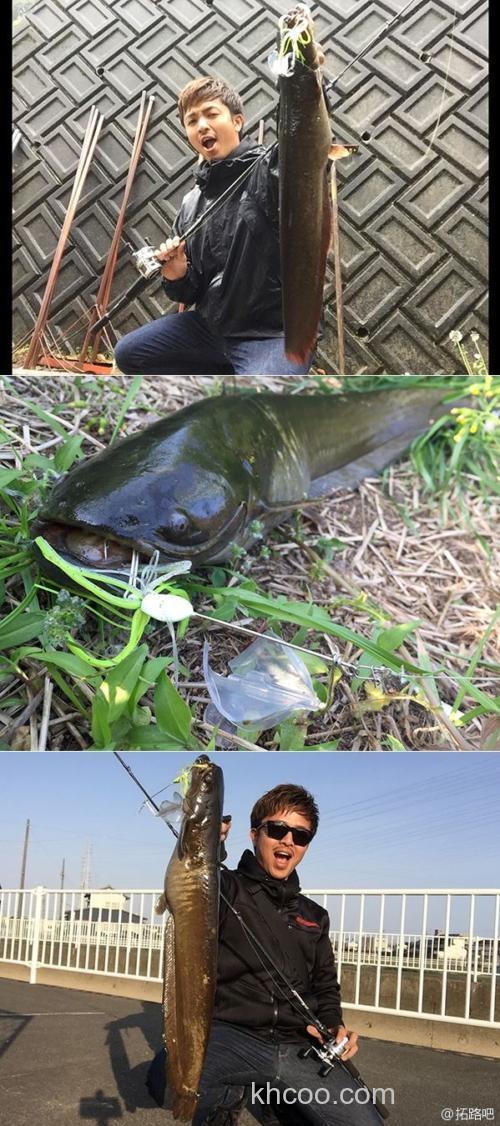 鲶诱 Megabass NOISY CAT BUZZ_2