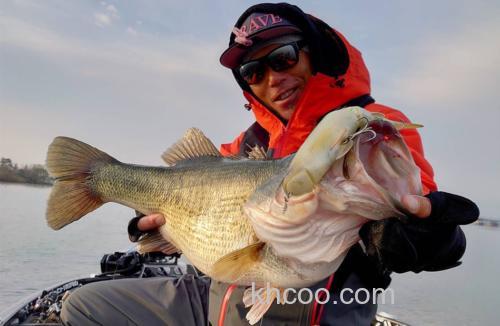 怪物规格 DAIWA 2022 MONSTER BRAVE Z 氟碳线_2