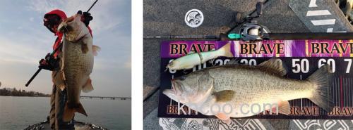 怪物规格 DAIWA 2022 MONSTER BRAVE Z 氟碳线_1