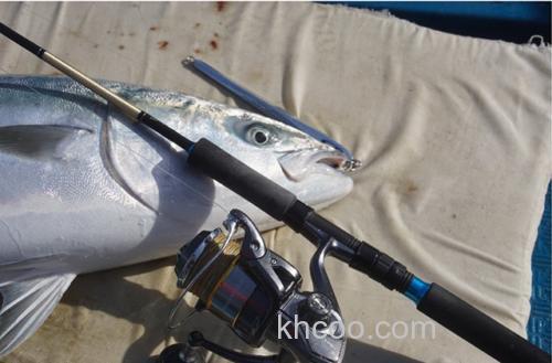 抗拉强度UP！21 Sunline Saltimate Tunageat FC 铁板用氟碳前导线_2