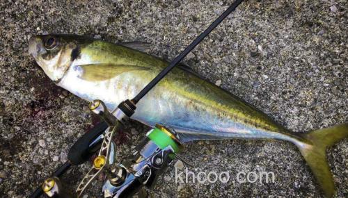 高比重沉水PE线 TICT RHYME 咸水小物PE线_1