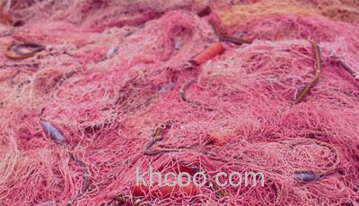 全天候升级 Toray SeaBass PE Power Game PE线_3