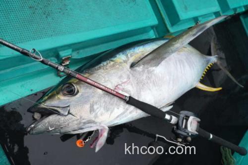 大物专用 Fishman BRIST HYDRO 8.5XXH 强力多节便携远征竿_1