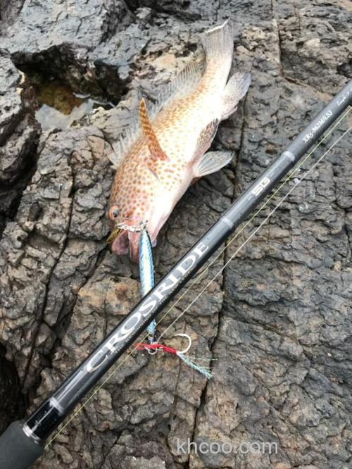 全系列通杀 Major Craft Cross Slide 5G 岸抛铁板竿_3