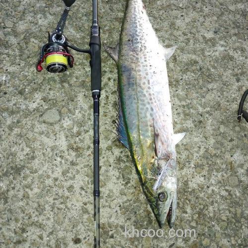 追加更新 Abu Garcia 2021 SaltyStyle Triple Concept 咸水多用途竿_2