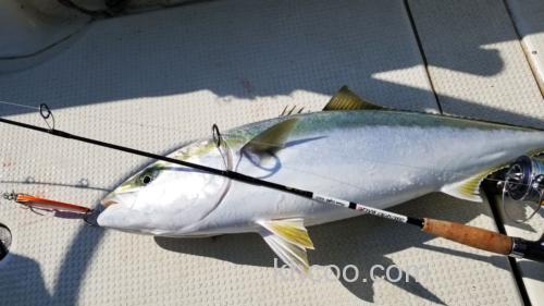 四两拨千斤 ZENIH ZEROSHIKI MACHⅢ powerlight 船用轻量铁板竿_0