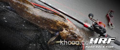 中阶性价 DAIWA 2021 HRF AIR 大根竿_0