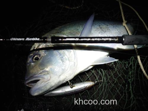 追加强力规格 Tailwalk OKINAWA MANBIKA岸抛铁板竿_0