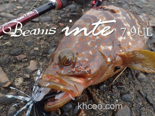 1克远抛的可能 Fishman Beams inte 7.9UL 咸水小物竿_0