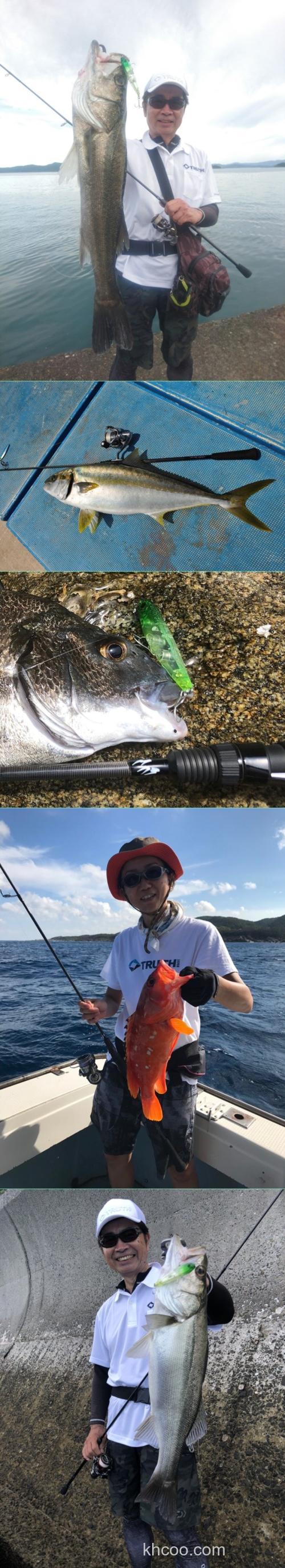 当春乃发生 一竿变两用 TRUTH LightSwicher 73/78_4