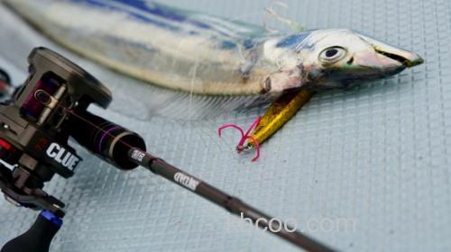 咸水船钓攻略 Legit design SKUAD 多用途海水路亚竿_5