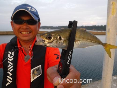 最轻美人 DAIWA 19 月下美人 AIR AGS AJING 竹荚鱼竿_0