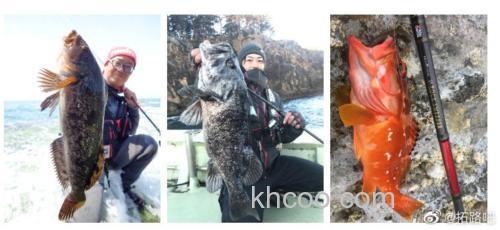 超越前作 AbuGarcia Eradicator Rocksweeper 大根竿_5